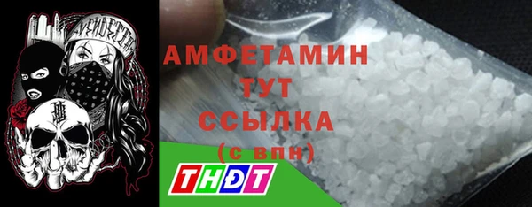 прущие грибы Елизово