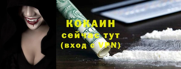 прущие грибы Елизово