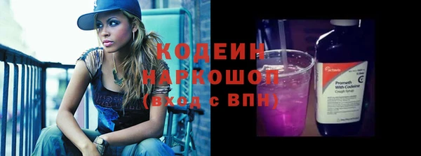 прущие грибы Елизово