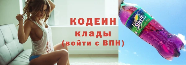прущие грибы Елизово