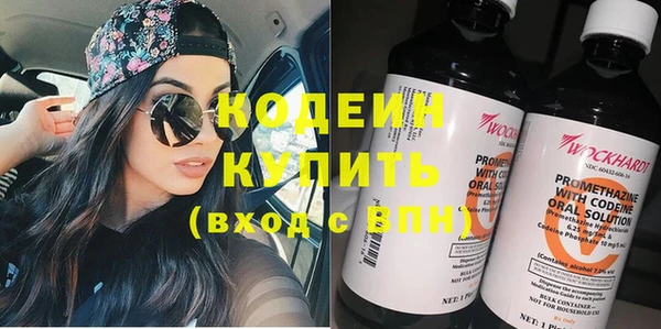 прущие грибы Елизово
