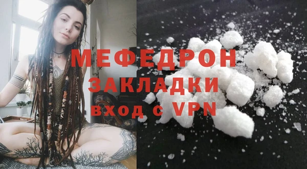 прущие грибы Елизово