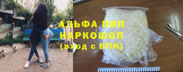 прущие грибы Елизово