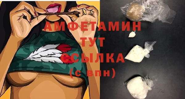 прущие грибы Елизово