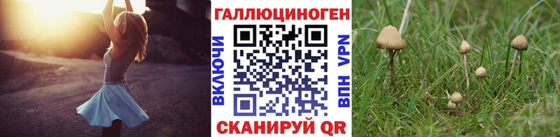 Галлюциногенные грибы Psilocybe  наркота  Печоры 